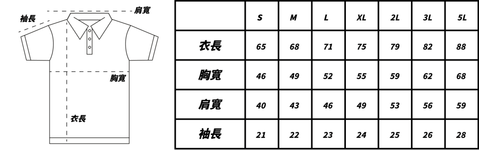 全棉polo尺寸表