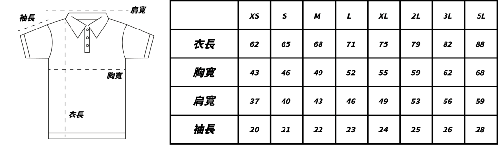 CVC polo尺寸表